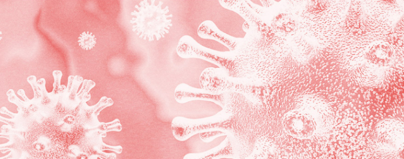 Información de interés sobre el Coronavirus SARS-CoV-2